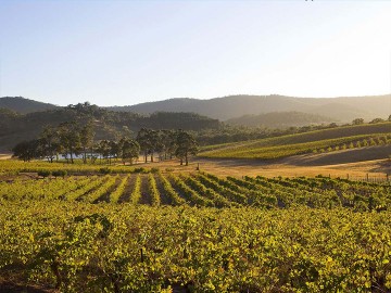 Ararat & Western Ranges Discovery Tour